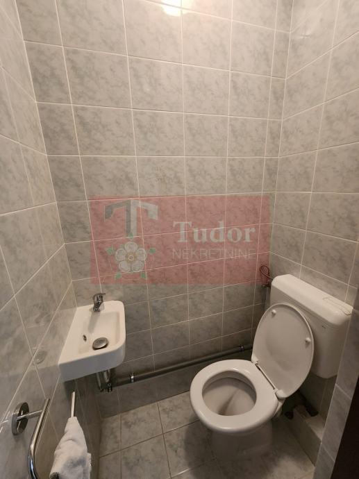 3936 249 1744620490.jpg