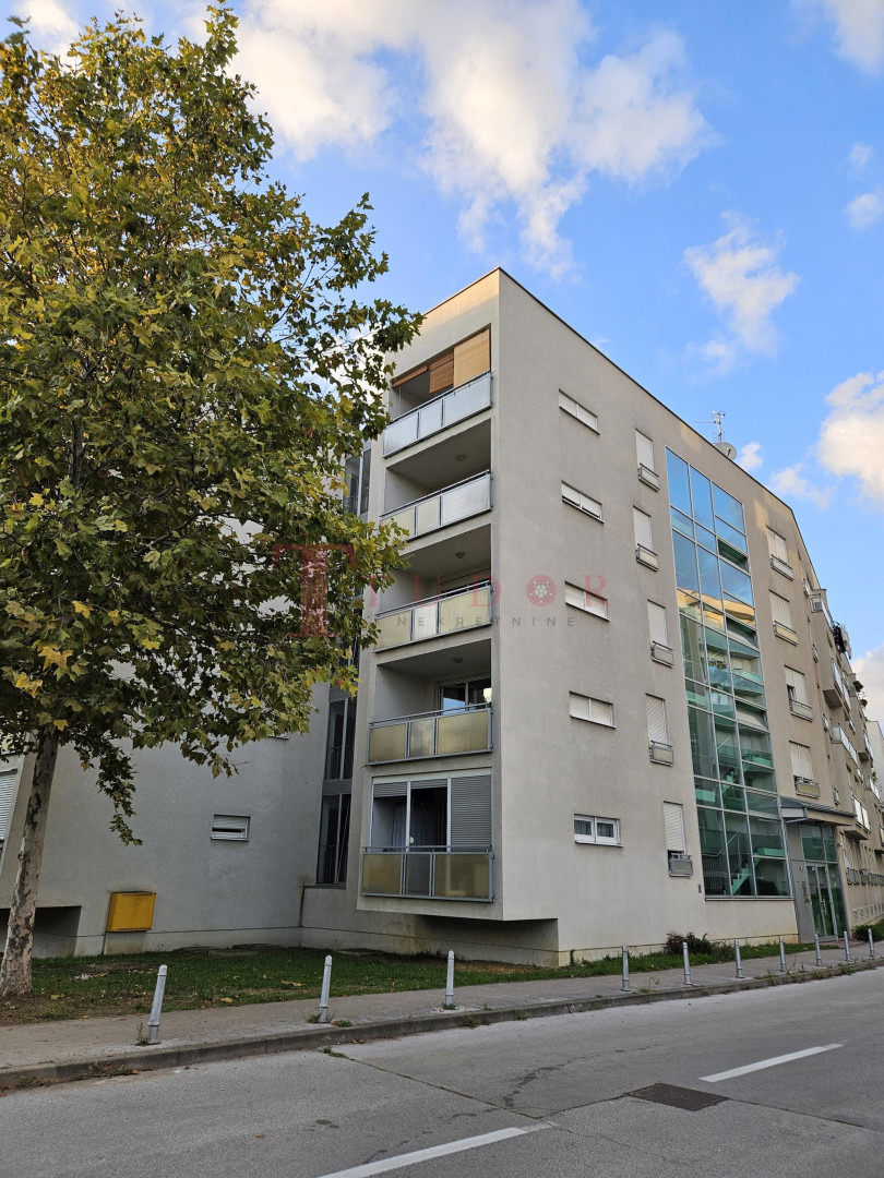 18239 52 1757074646.jpeg