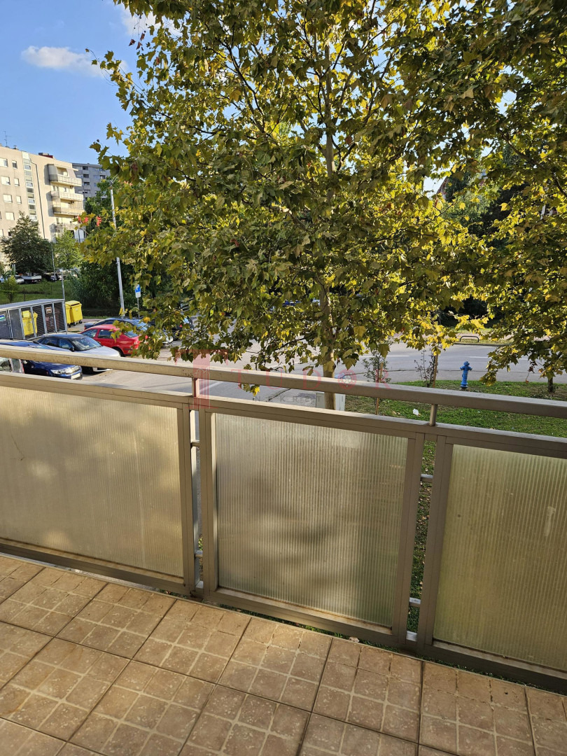 18239 54 1757074647.jpeg