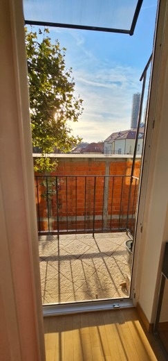 21571 147 1758303396.jpg