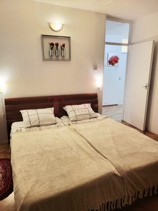 37185 3 1761565438.jpg