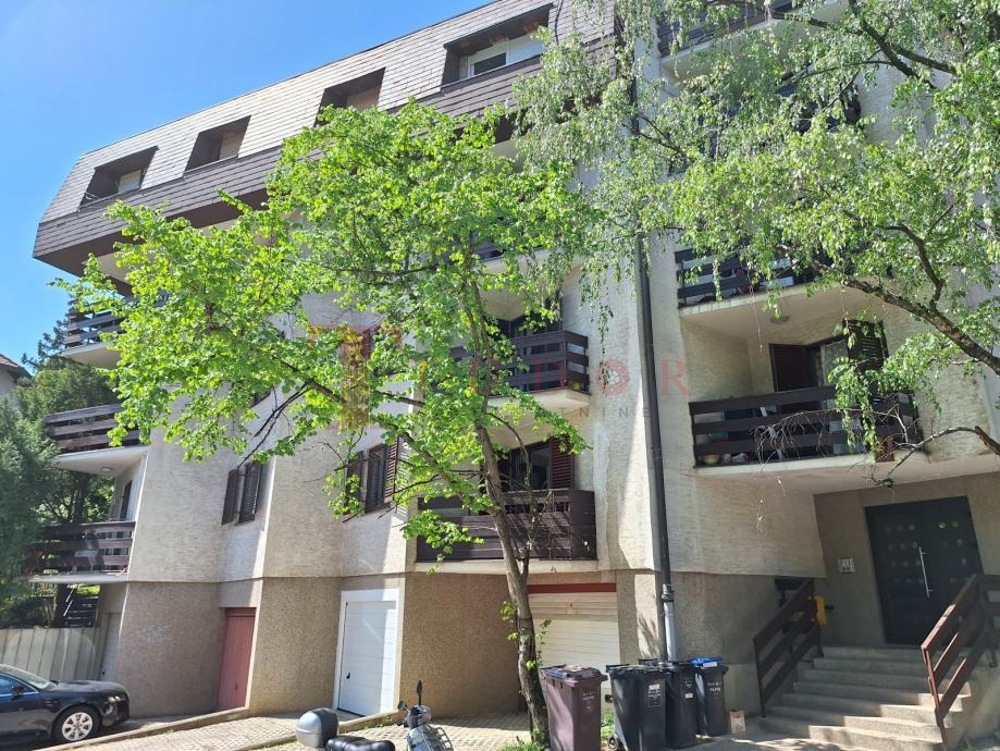 54929 18 1764181200.jpg