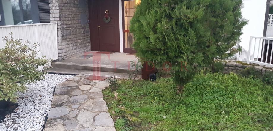 54930 1 1764184227.jpg