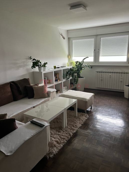 54931 10 1764185101.jpg