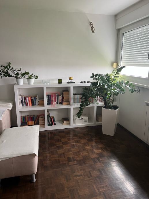 54931 14 1764185101.jpg