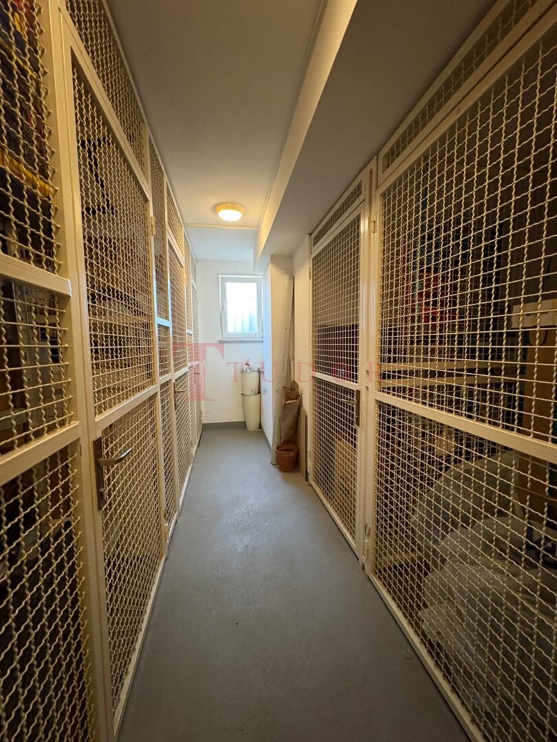 61628 13 1765371939.jpg