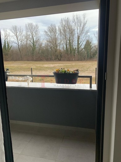 66475 5 1765976378.jpg