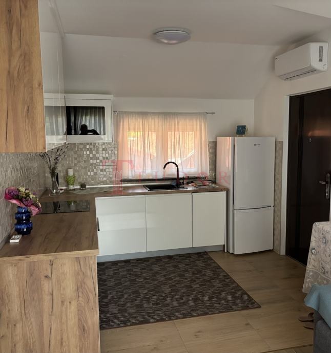 66516 9 1766075329.jpg