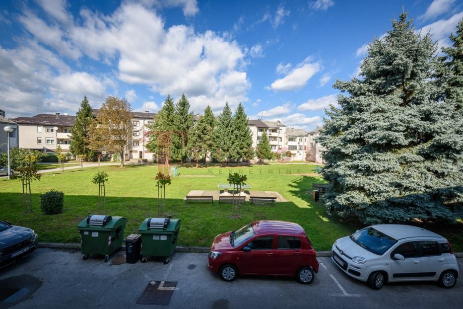 66870 13 1768578145.jpg