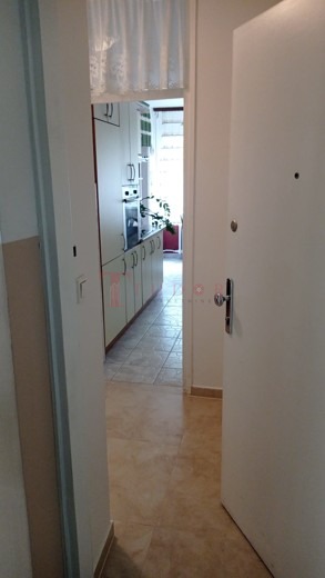 66879 4 1768581551.jpeg