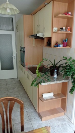 66879 7 1768581551.jpeg