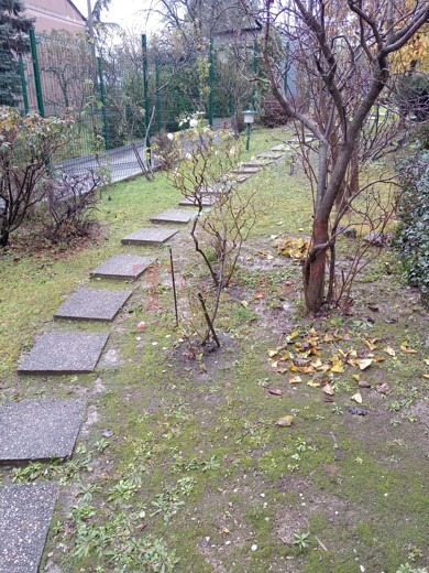 68688 5 1769101423.jpg