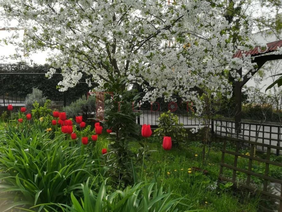 80778 11 1769785831.jpg