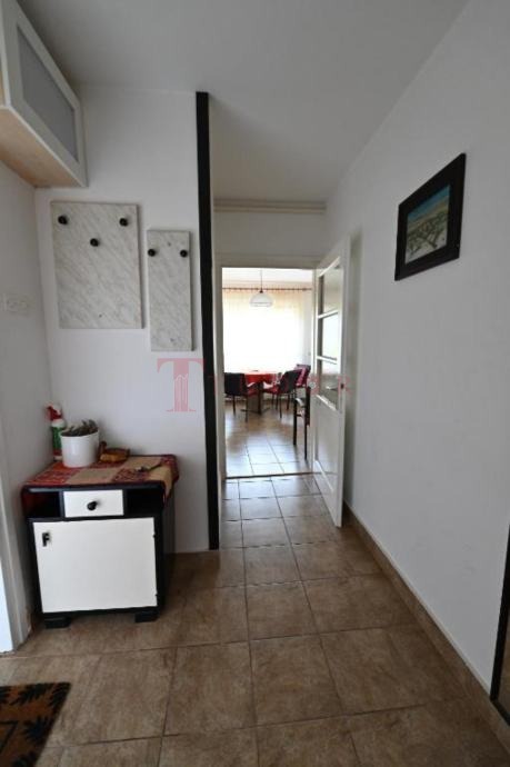 80778 6 1769785831.jpg