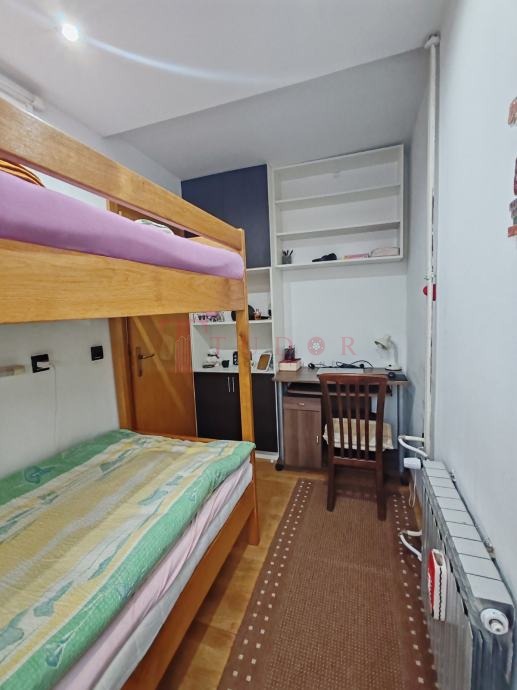 80919 7 1770227551.jpg