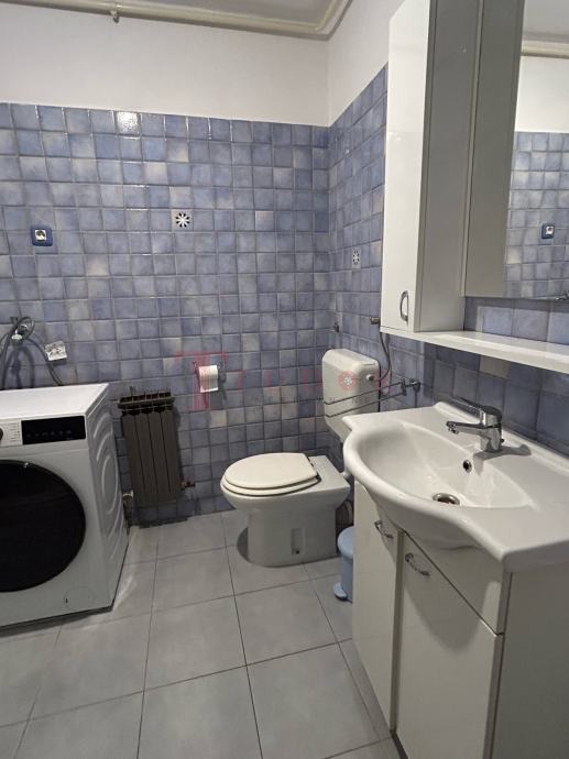 106161 5 1773164363.jpg