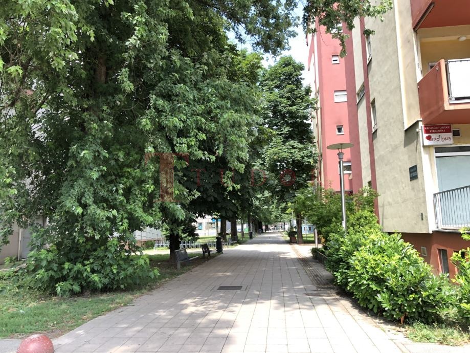 106708 17 1773672635.jpg