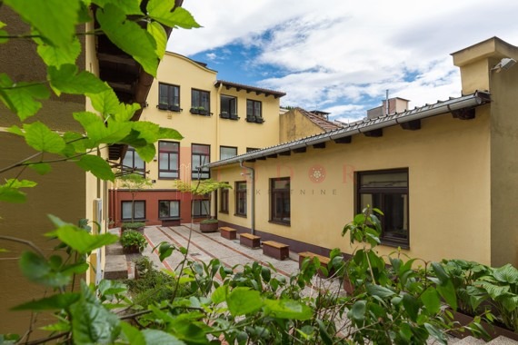 108556 3 1774466982.jpeg