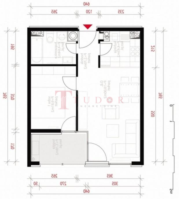 108557 1 1774467528.jpg