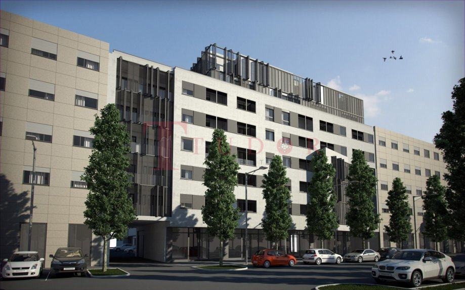 108557 2 1774467528.jpg