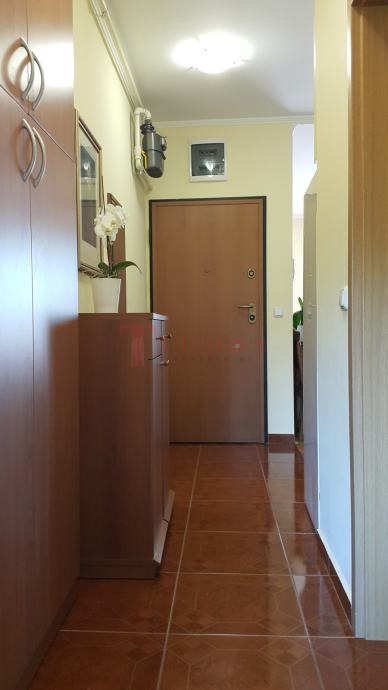 108558 2 1774468011.jpg