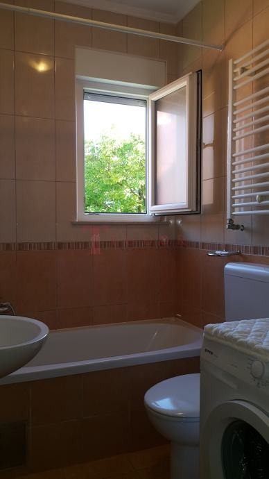 108558 3 1774468011.jpg