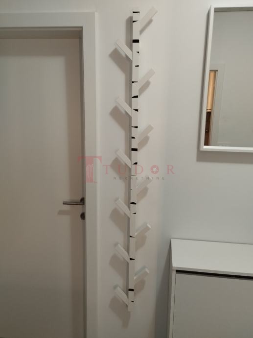 113820 5 1774538876.jpg