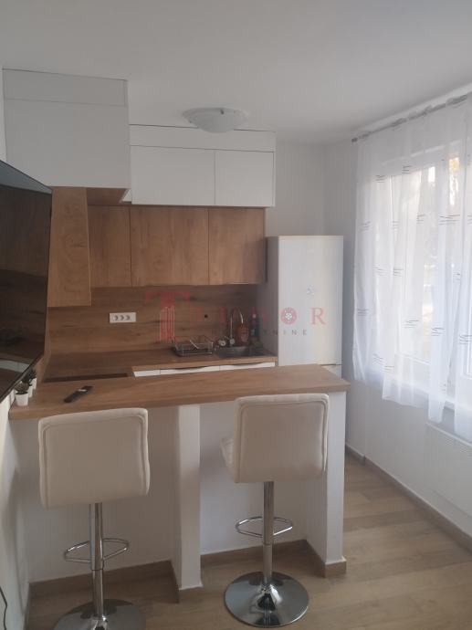 113820 7 1774538876.jpg