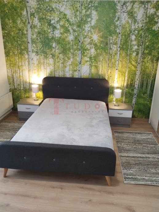 113820 9 1774538876.jpg