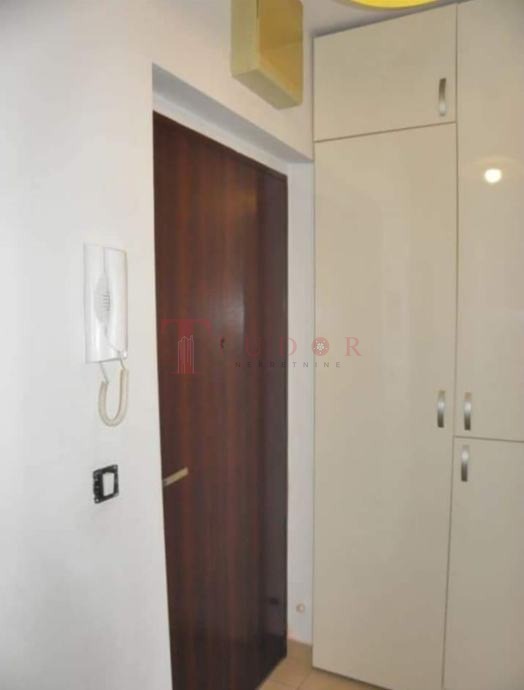 113822 6 1774539709.jpg