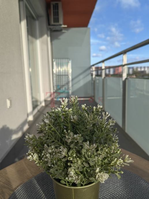 114013 4 1774875959.jpg