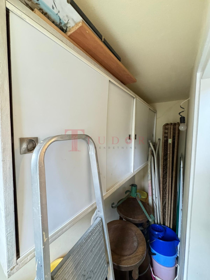 25146 462 1759302167.jpg