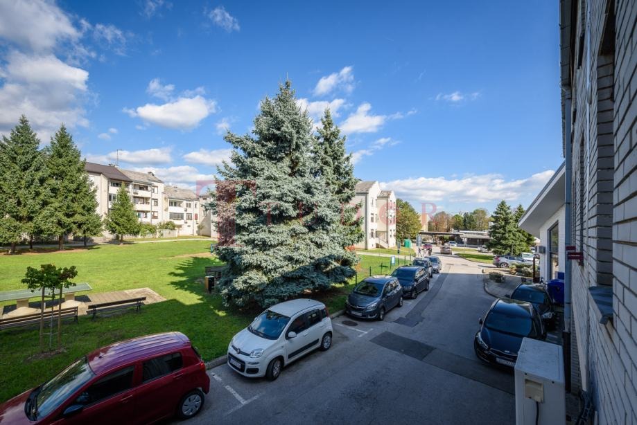 66870 11 1768578144.jpg