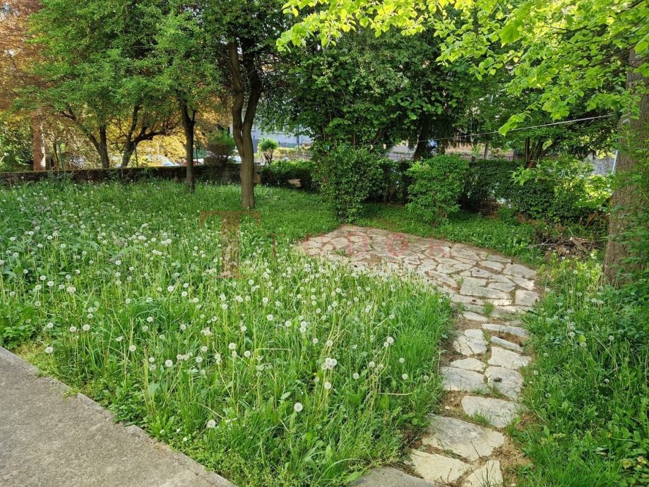 121382 10 1776351954.jpg