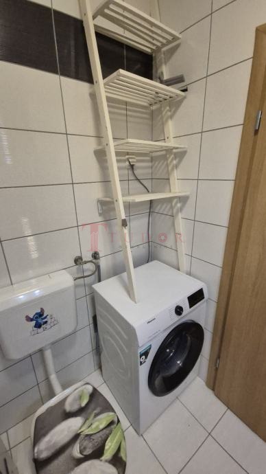 121383 13 1776352598.jpg